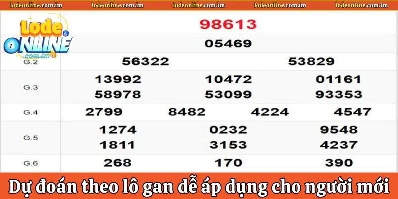 Dự đoán theo lô gan dễ áp dụng cho người mới